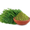 Moringa en poudre