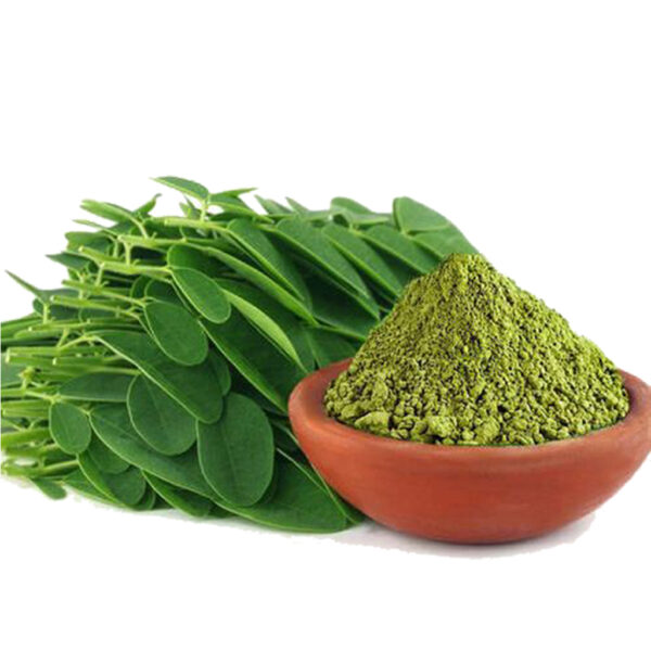 Moringa en poudre